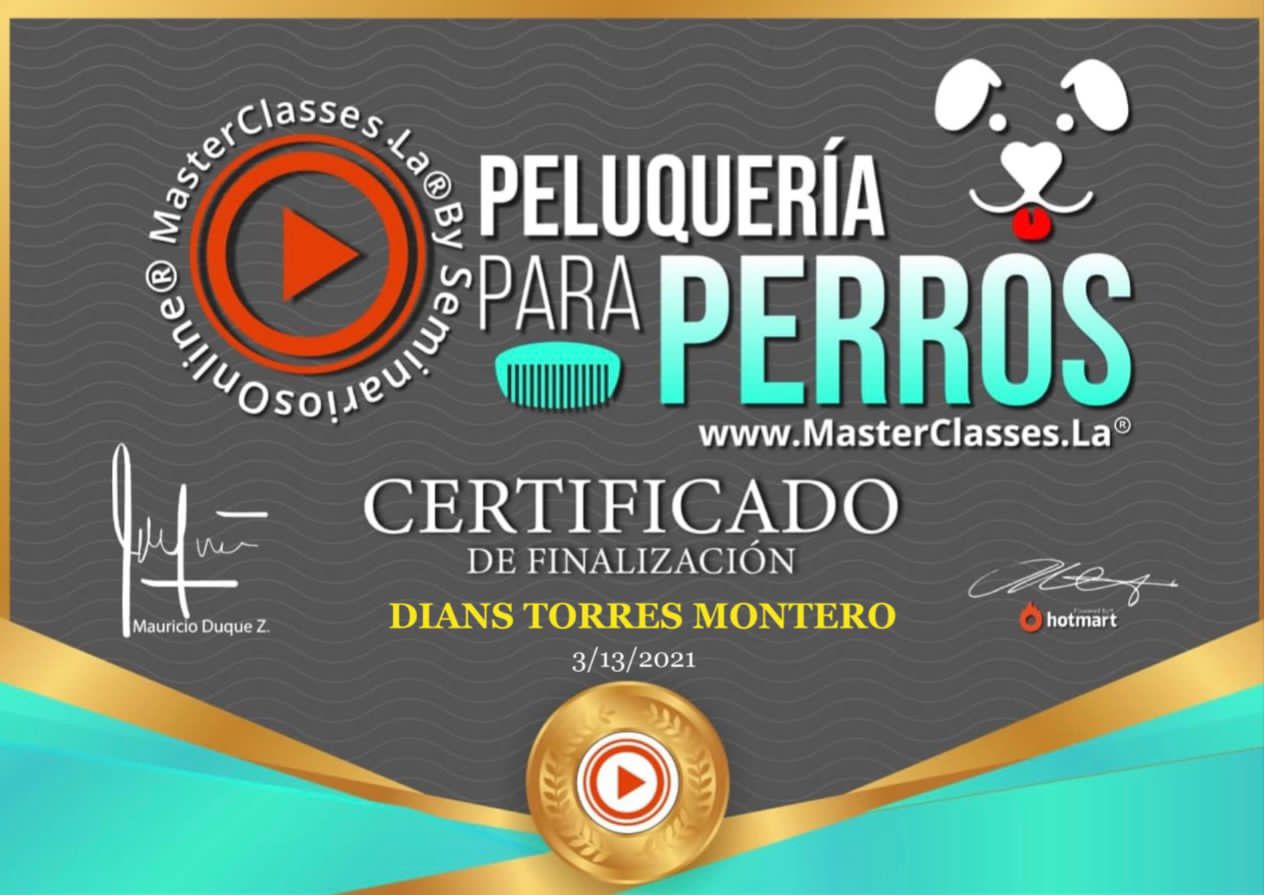 Diploma